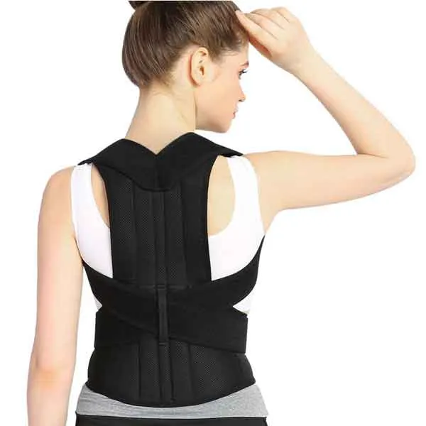 Back support Belt